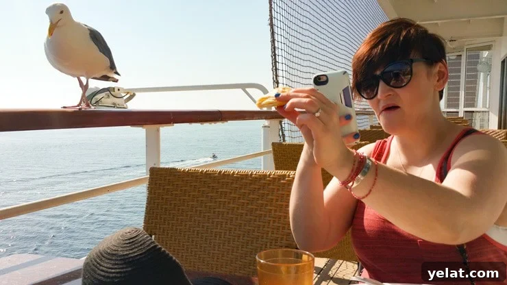 How Getting Injured on My First Carnival Cruise Changed My Trip 7 Carnival Inspiration Cruise