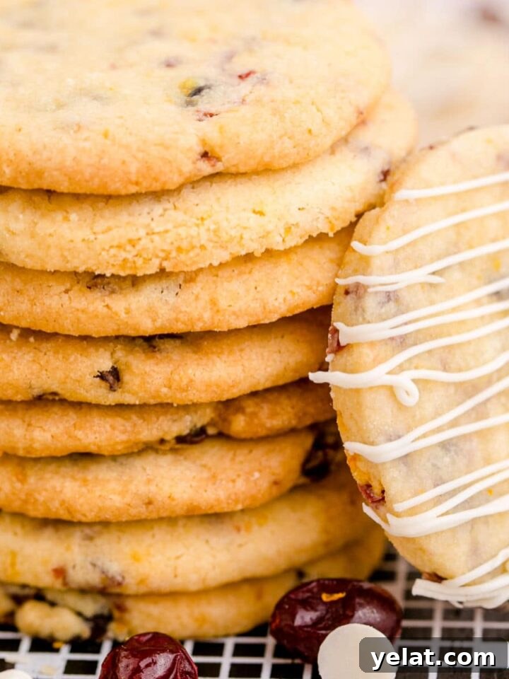 Festive Christmas Oreo Cookie Recipes for Holiday Baking 5 cranberry orange shortbread cookie closeup of them stacked up