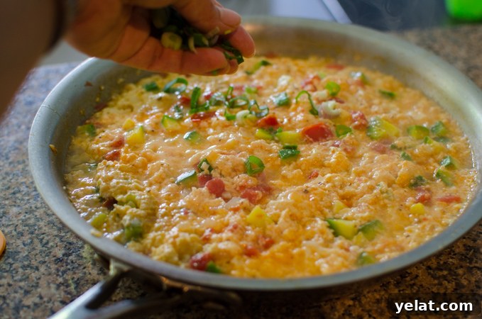 Tomato, Egg & Tofu Stir-Fry: Quick Savory Weeknight Recipe 8 Chopped green onion makes a good garnish to the tofu and egg dish.
