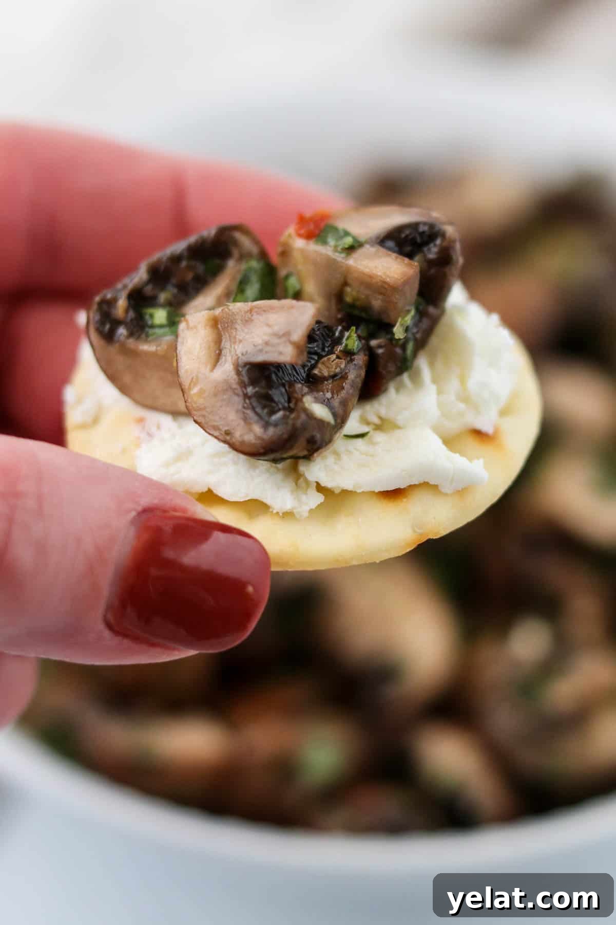 Quick Pickled Mushrooms: Fast Tangy Recipe for Snacks and Sides 8 Goat cheese and Quick Pickled Mushrooms on a cracker.