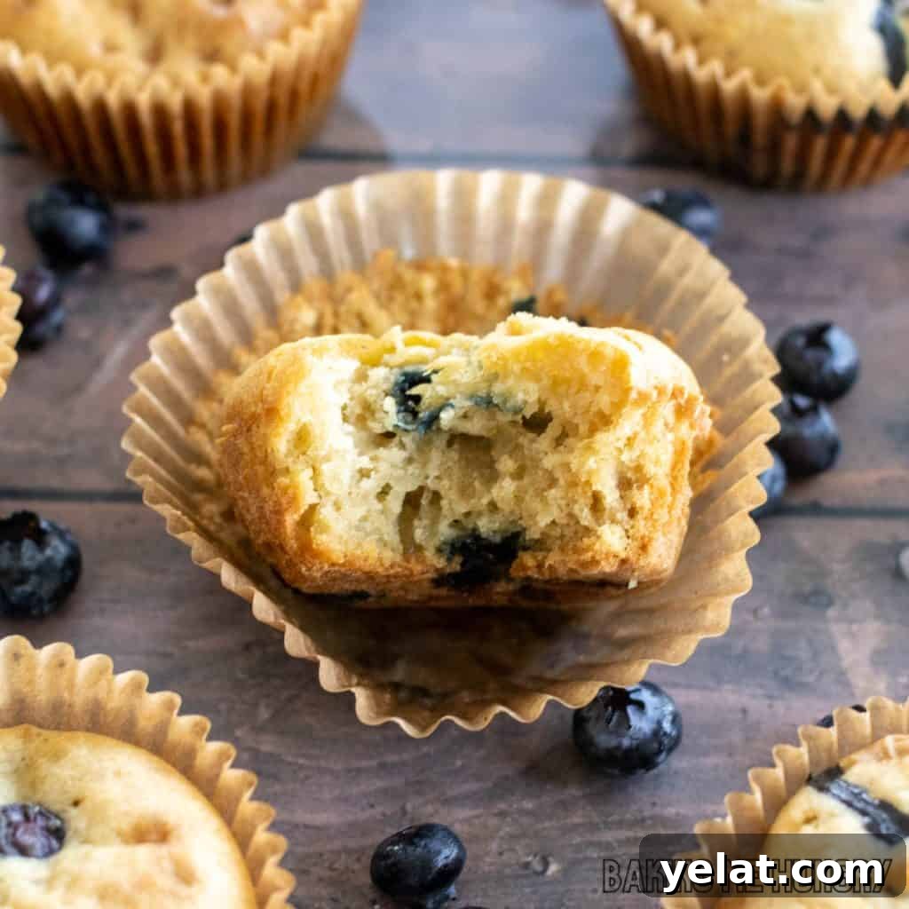 Moist Dairy-Free Blueberry Muffins Recipe 12 muffin with bite missing sitting on paper liner