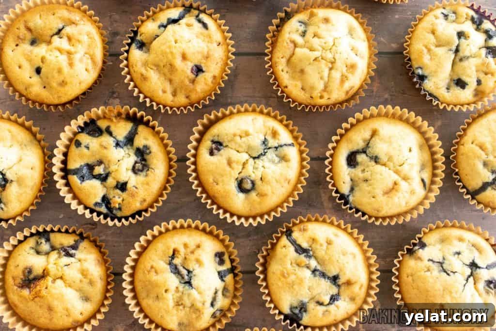 Moist Dairy-Free Blueberry Muffins Recipe 3 baked dairy free blueberry muffins on wood surface from overhead