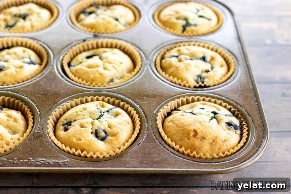 Moist Dairy-Free Blueberry Muffins Recipe 10 baked muffins in pan