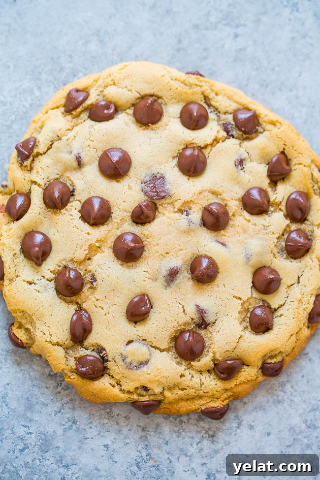 Soft-Baked Honey Bun Cookies Recipe for Irresistible Flavor 29 Giant Chocolate Chip Cookie For One